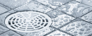 Drain Services, Drain Specialists